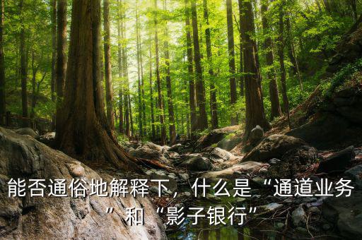 能否通俗地解釋下，什么是“通道業(yè)務(wù)”和“影子銀行”