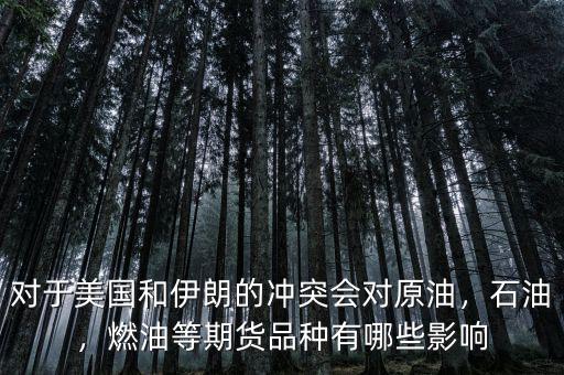 對于美國和伊朗的沖突會對原油，石油，燃油等期貨品種有哪些影響