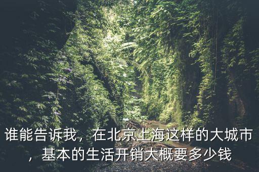 誰能告訴我，在北京上海這樣的大城市，基本的生活開銷大概要多少錢