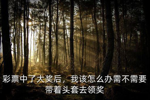 彩票中了大獎后，我該怎么辦需不需要帶著頭套去領獎