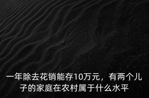一年除去花銷能存10萬元，有兩個兒子的家庭在農(nóng)村屬于什么水平