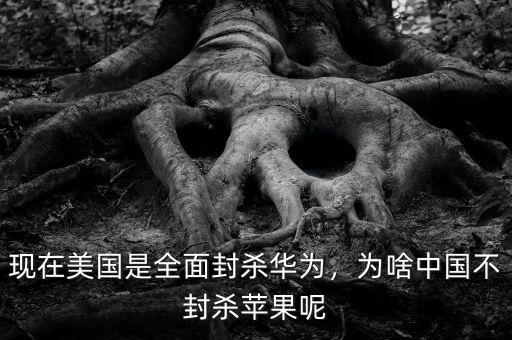 現(xiàn)在美國是全面封殺華為，為啥中國不封殺蘋果呢