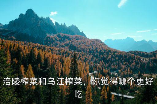 涪陵榨菜和烏江榨菜，你覺得哪個更好吃
