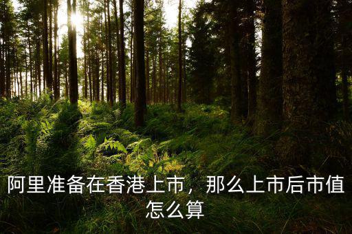 阿里準(zhǔn)備在香港上市，那么上市后市值怎么算