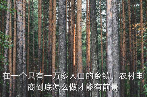 在一個只有一萬多人口的鄉(xiāng)鎮(zhèn)，農(nóng)村電商到底怎么做才能有前景