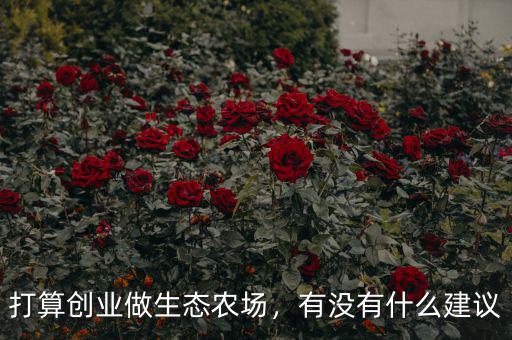 打算創(chuàng)業(yè)做生態(tài)農(nóng)場，有沒有什么建議
