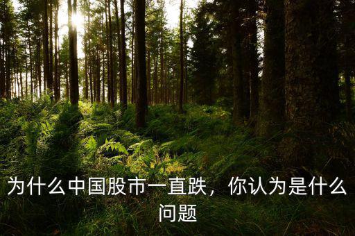 為什么中國股市一直跌，你認(rèn)為是什么問題