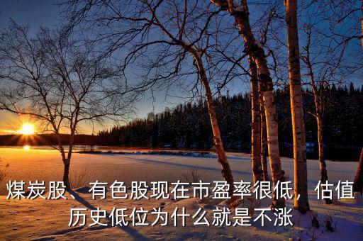 煤炭股、有色股現(xiàn)在市盈率很低，估值歷史低位為什么就是不漲