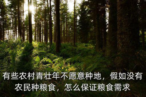 有些農(nóng)村青壯年不愿意種地，假如沒有農(nóng)民種糧食，怎么保證糧食需求