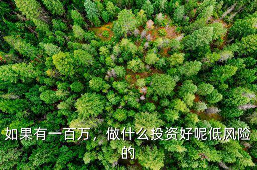 如果有一百萬，做什么投資好呢低風(fēng)險的