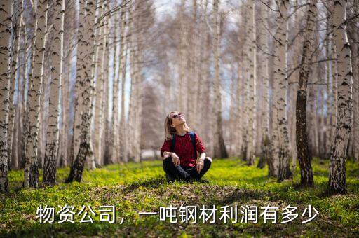 物資公司，一噸鋼材利潤有多少