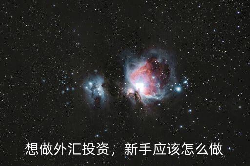 想做外匯投資，新手應(yīng)該怎么做