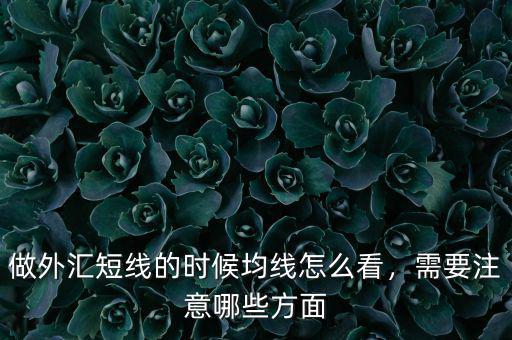 做外匯短線的時候均線怎么看，需要注意哪些方面