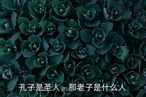 孔子是圣人，那老子是什么人