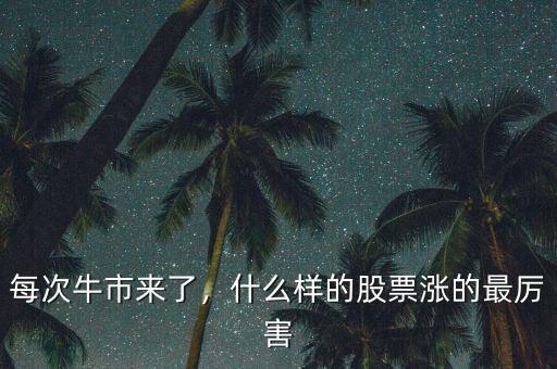 每次牛市來了，什么樣的股票漲的最厲害