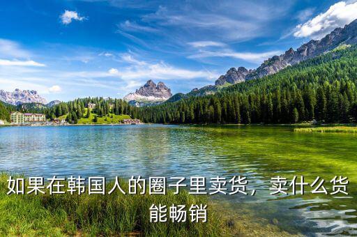 如果在韓國人的圈子里賣貨，賣什么貨能暢銷