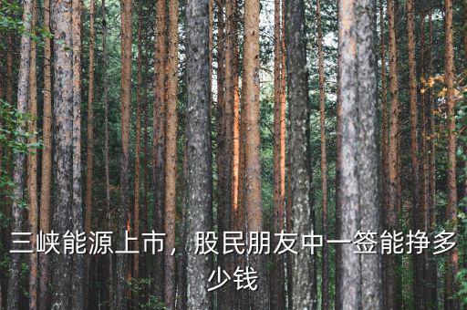 三峽能源上市，股民朋友中一簽?zāi)軖甓嗌馘X