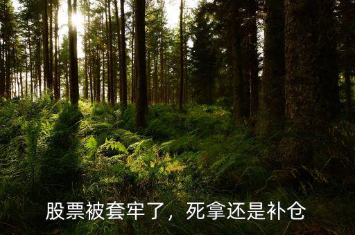 股票被套牢了，死拿還是補倉
