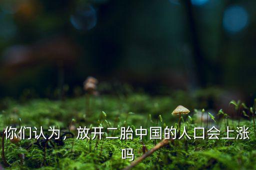 你們認為，放開二胎中國的人口會上漲嗎