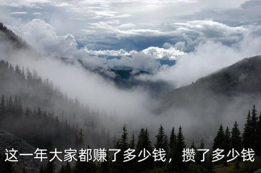 這一年大家都賺了多少錢，攢了多少錢