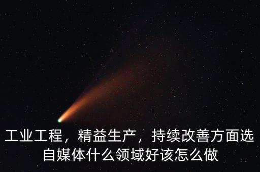 工業(yè)工程，精益生產(chǎn)，持續(xù)改善方面選自媒體什么領域好該怎么做
