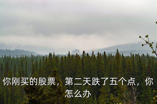 你剛買的股票，第二天跌了五個(gè)點(diǎn)，你怎么辦