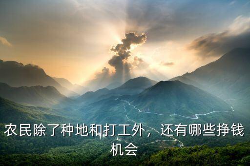 農(nóng)民除了種地和打工外，還有哪些掙錢機(jī)會(huì)