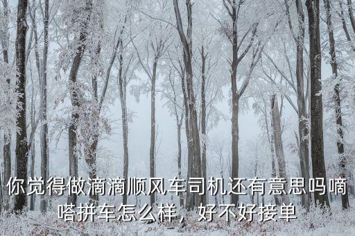 你覺(jué)得做滴滴順風(fēng)車司機(jī)還有意思嗎嘀嗒拼車怎么樣，好不好接單