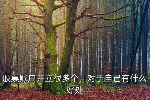 股票賬戶開立很多個，對于自己有什么好處