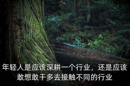 年輕人是應(yīng)該深耕一個行業(yè)，還是應(yīng)該敢想敢干多去接觸不同的行業(yè)