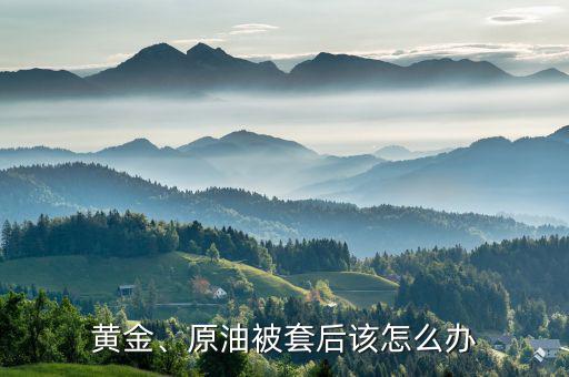 黃金、原油被套后該怎么辦