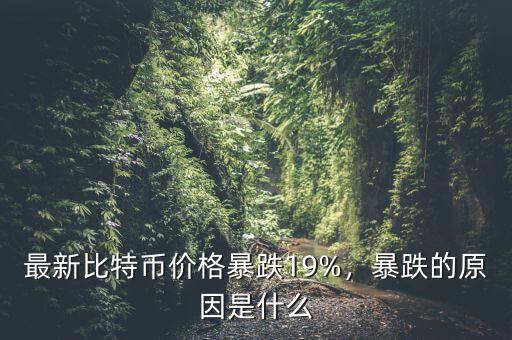最新比特幣價格暴跌19%，暴跌的原因是什么