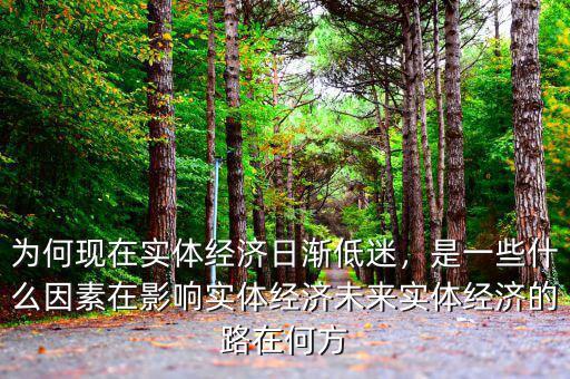 為何現(xiàn)在實體經(jīng)濟(jì)日漸低迷，是一些什么因素在影響實體經(jīng)濟(jì)未來實體經(jīng)濟(jì)的路在何方