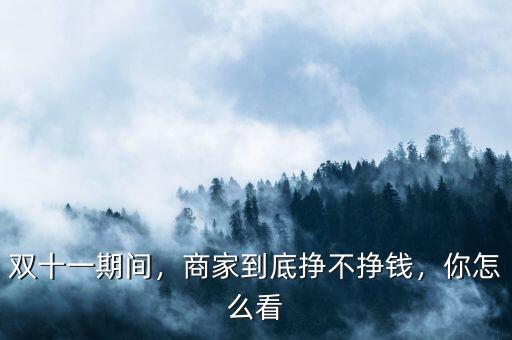 雙十一期間，商家到底掙不掙錢，你怎么看