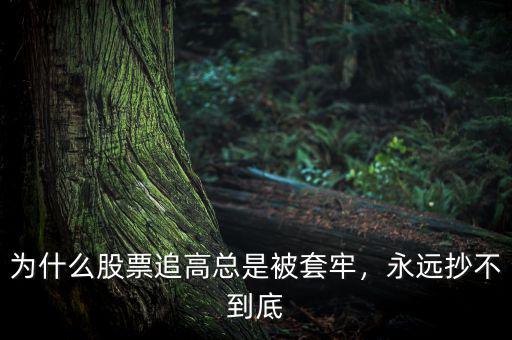為什么股票追高總是被套牢，永遠抄不到底