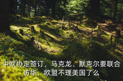 中歐協(xié)定簽訂，馬克龍、默克爾要聯(lián)合訪華，歐盟不理美國了么