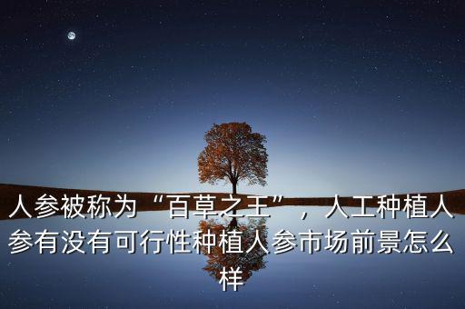 人參被稱為“百草之王”，人工種植人參有沒有可行性種植人參市場(chǎng)前景怎么樣