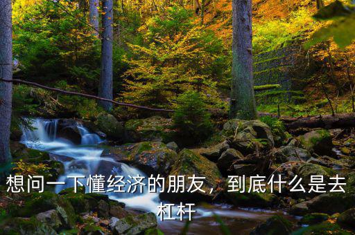想問一下懂經(jīng)濟的朋友，到底什么是去杠桿