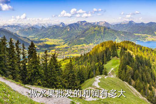 水果批發(fā)利潤(rùn)怎么樣,擺攤賣水果怎么樣