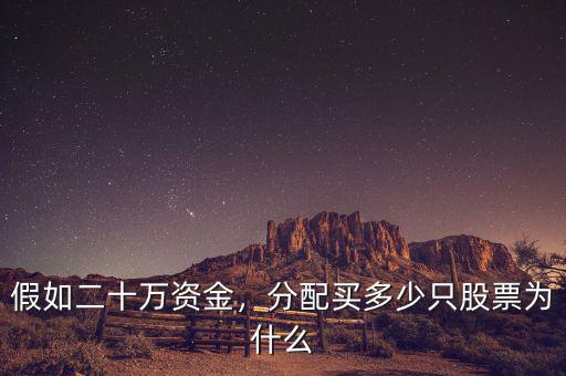 假如二十萬資金，分配買多少只股票為什么