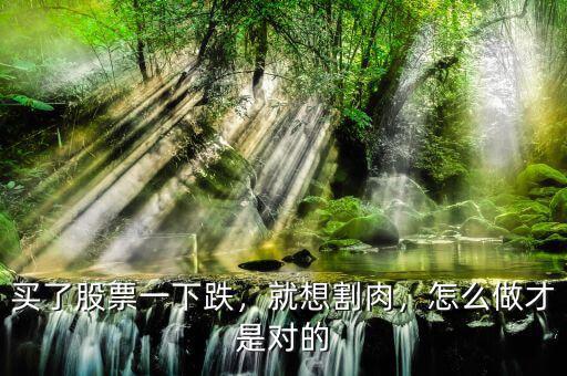 買了股票一下跌，就想割肉，怎么做才是對(duì)的