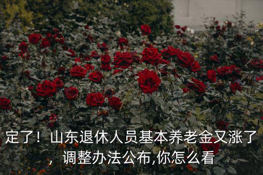 定了！山東退休人員基本養(yǎng)老金又漲了，調(diào)整辦法公布,你怎么看