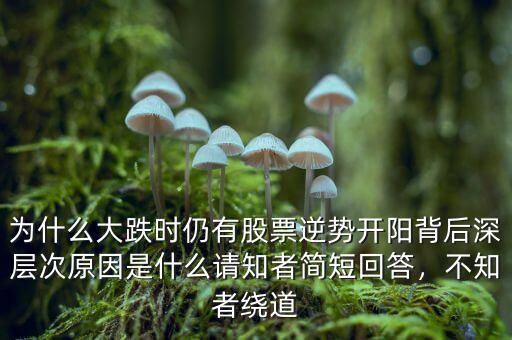 為什么大跌時(shí)仍有股票逆勢開陽背后深層次原因是什么請知者簡短回答，不知者繞道