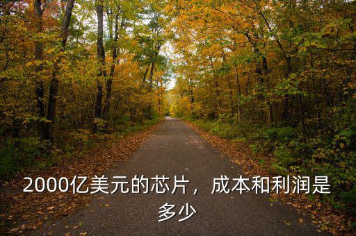 2000億美元的芯片，成本和利潤是多少