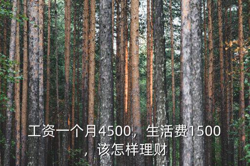 工資一個月4500，生活費1500，該怎樣理財