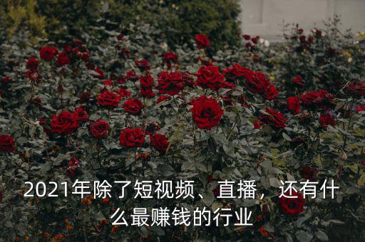 2021年除了短視頻、直播，還有什么最賺錢的行業(yè)