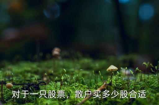 對(duì)于一只股票，散戶買多少股合適