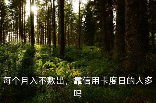 每個(gè)月入不敷出，靠信用卡度日的人多嗎