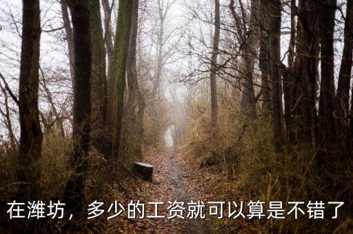 在濰坊，多少的工資就可以算是不錯(cuò)了