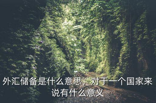 外匯儲備是什么意思，對于一個國家來說有什么意義